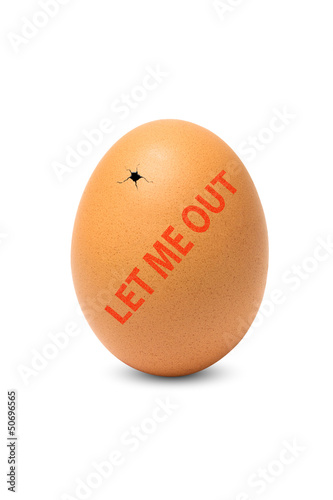 Photo: Egg with stamp isolated on a white background Egg with stamp isolated on a white background