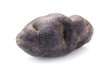 Vitelotte