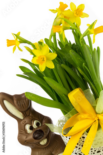Photo: Schokohase mit Narzissen Schokohase mit Narzissen
