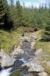 stream in the Scottish hills