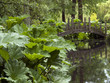Garden Bridge