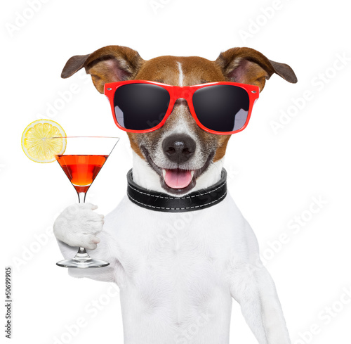Photo: funny cocktail dog funny cocktail dog