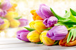 Foto: Tulpen Tulpen