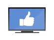 Flat Screen