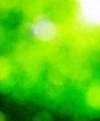 Spring  bokeh