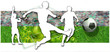 Soccer players