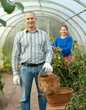 Man and woman in hothouse
