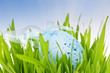 Blue Easter egg in green grass