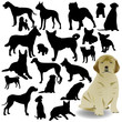 dog vector