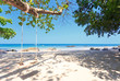 Photo: Wood swing on beach Wood swing on beach