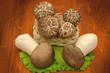 Mushrooms "French horn" and the other on a wooden table