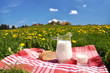 Jug of milk and bread on the spring meadow. Emmental region, Swi