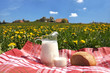 Jug of milk and bread on the spring meadow. Emmental region, Swi