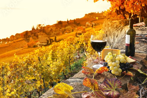  Glass of red wine on the terrace vineyard in Lavaux region, Swit