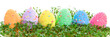 Colorful Easter eggs in garden cress over white background