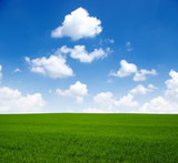 field