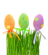 Foto: Fresh green grass and colored easter eggs Fresh green grass and colored easter eggs