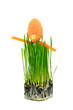 Foto: Easter egg on fresh green wheat grass Easter egg on fresh green wheat grass