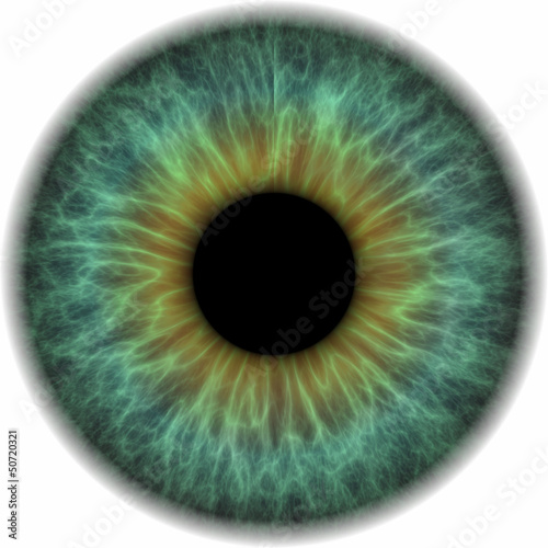 Illustration: Pupille Pupille