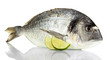 Dorado fish with lemon isolated on white