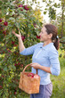 woman with  apples