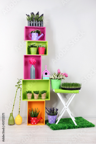 Photo: Colorful shelves with decorative elements and plants standing Colorful shelves with decorative elements and plants standing