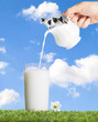 Glass Of Milk