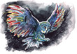 bird