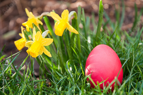 Photo: Egg hunt Egg hunt