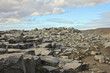 Rocky Playground