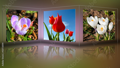 Photo: Frühling Frühling