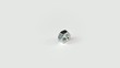 Nut rotates on a white background