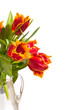 Foto: bouquet of red tulips bouquet of red tulips