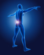 3D medical man with lower back highlighted