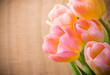 Tulips.