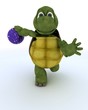 tortoise ten pin bowling