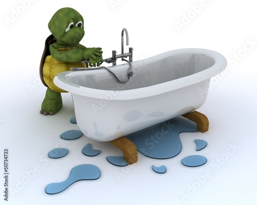 Illustration: tortoise plumbing contractor tortoise plumbing contractor