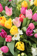 Mixed tulip bouquet