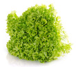 Fresh lettuce