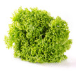 Fresh lettuce