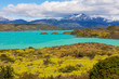The National Park Torres del Paine, Patagonia, Chile