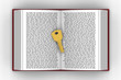 3D model of golden key put on words book