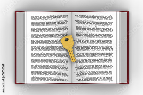 Illustration: 3D model of golden key put on words book 3D model of golden key put on words book