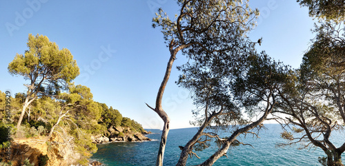 Photo: côte varoise côte varoise