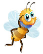A stripe bumblebee