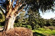 Photo: jardin des plantes jardin des plantes
