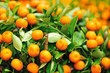 kumquats