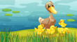 A duck and her ducklings at the riverbank