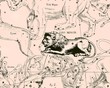 Constellation vintage map