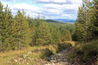 stream in the Scottish hills
